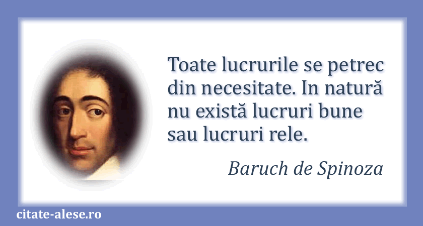Baruch de Spinoza, citat despre natură