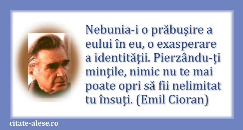 Emil Cioran, citat despre nebunie