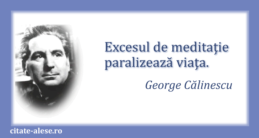 George Călinescu, citat despre exces