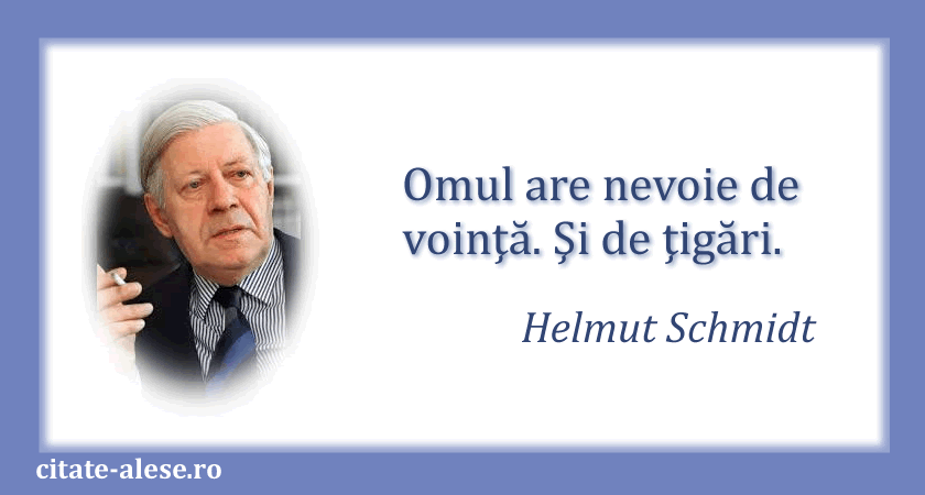 Helmut Schmidt, citat despre necesitate