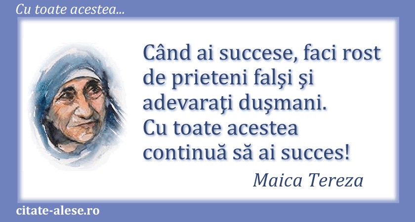 Maica Tereza, citat despre succes